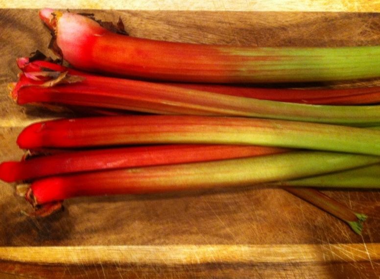 Culinary Idea Lab Savory Rhubarb "Jam"